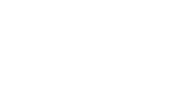 audiox.pk